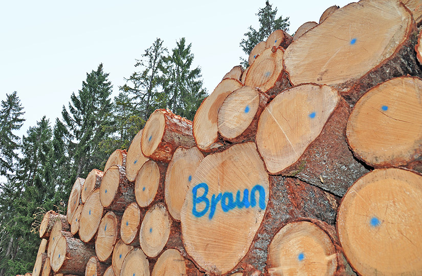 rundholz_anbieten_braun_holzwerk